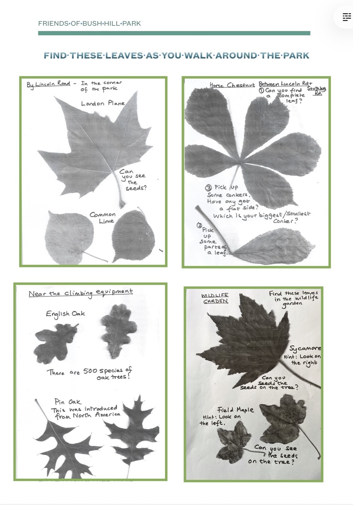 Leaf identifying leaflet 2026